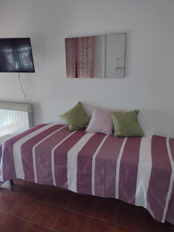 B&B L'Orchidea Pisa Exteriör bild