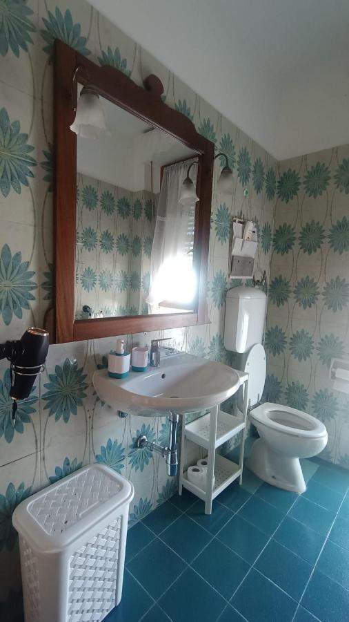 B&B L'Orchidea Pisa Exteriör bild